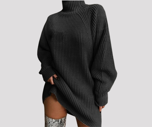 Half Turtleneck Sweater Dress Sweater